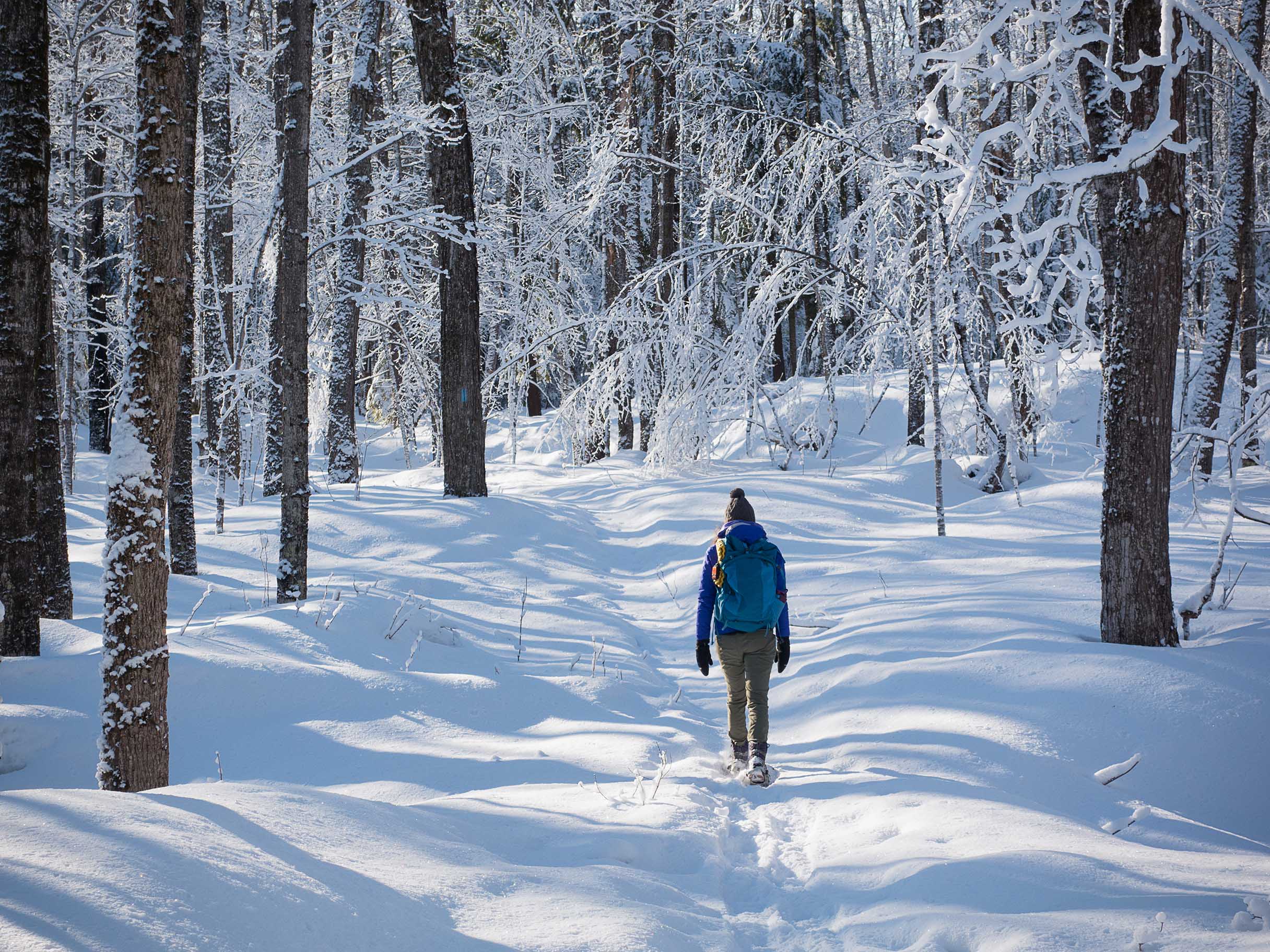 snowshoeing at little garlic river